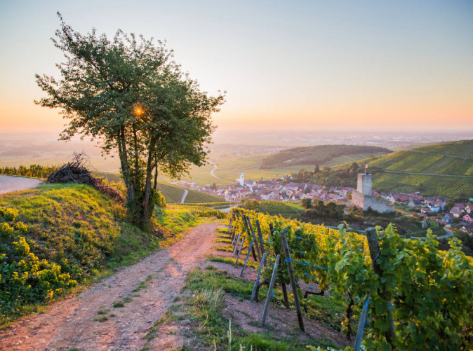 0045_Katzenthal-Lever de soleil © Tristan Vuano - ADT